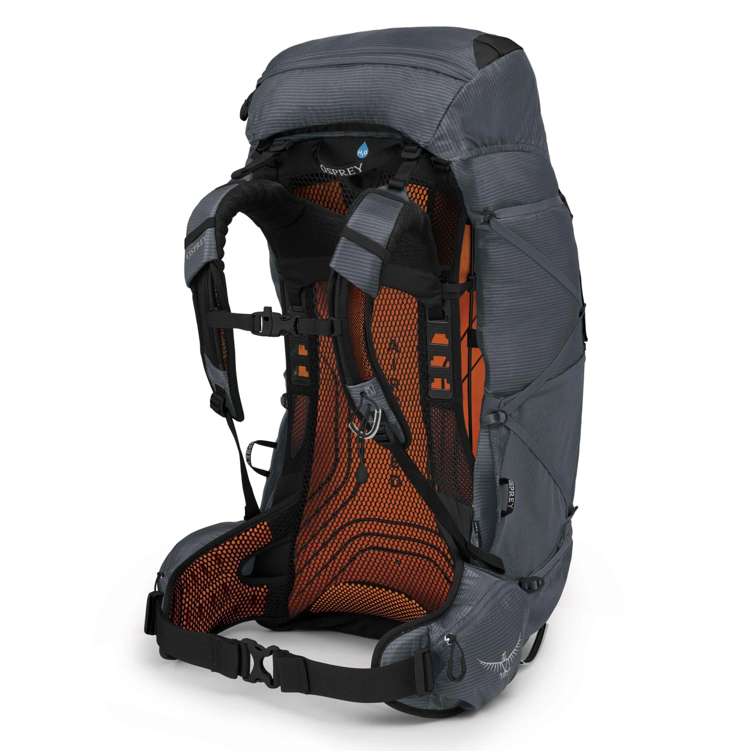 Osprey EXOS 58 Herren - Trekkingrucksack 2 Osprey EXOS 58 Herren - Trekkingrucksack – Bild 2